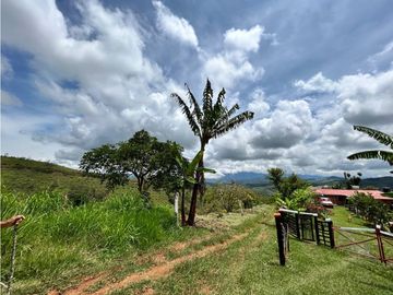 SE VENDE FINCA/LOTE EN VIJES- VALLE DEL CAUCA