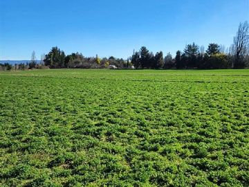 ESPECTACULAR PREDIO AGRÍCOLA CON CASA EN LOS ÁNGELES.