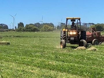 ESPECTACULAR PREDIO AGRÍCOLA CON CASA EN LOS ÁNGELES.
