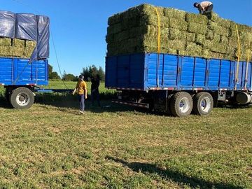 ESPECTACULAR PREDIO AGRÍCOLA CON CASA EN LOS ÁNGELES.