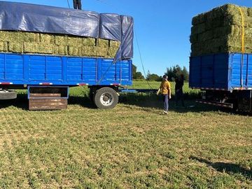 ESPECTACULAR PREDIO AGRÍCOLA CON CASA EN LOS ÁNGELES.