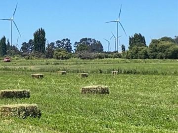 ESPECTACULAR PREDIO AGRÍCOLA CON CASA EN LOS ÁNGELES.