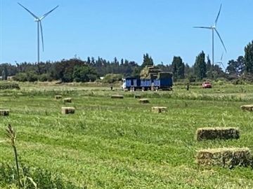 ESPECTACULAR PREDIO AGRÍCOLA CON CASA EN LOS ÁNGELES.