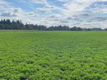 ESPECTACULAR PREDIO AGRÍCOLA CON CASA EN LOS ÁNGELES.