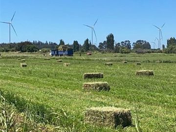 ESPECTACULAR PREDIO AGRÍCOLA CON CASA EN LOS ÁNGELES.