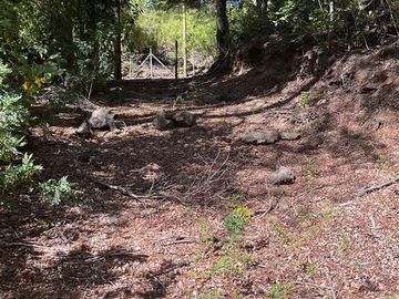 Parcela en Venta en Sector La Invernada Km 64 Camino a Termas de Chillán