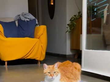 Venta  Departamento con Patio en Núñez Apto Crédito