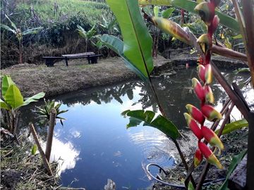 Casa Finca En Venta: Casa Colonial Con Amplios Espacios Y Naturaleza