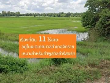 Land for sale in Chakkarat, Nakhon Ratchasima