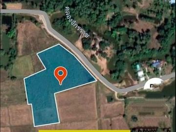 Land for sale in Chakkarat, Nakhon Ratchasima