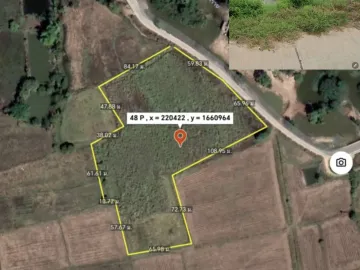Land for sale in Chakkarat, Nakhon Ratchasima