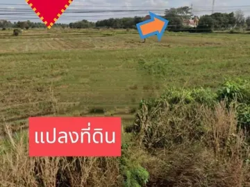 Land for sale in Si Lako, Nakhon Ratchasima