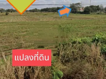 Land for sale in Si Lako, Nakhon Ratchasima