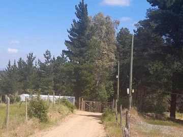 C. Los Lagos/Colliguay - Casa - Venta