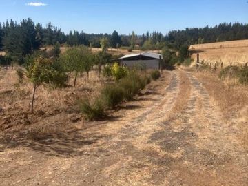 C. Los Lagos/Colliguay - Casa - Venta