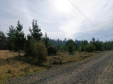 La Puntilla/La puntilla - Parcela - Venta
