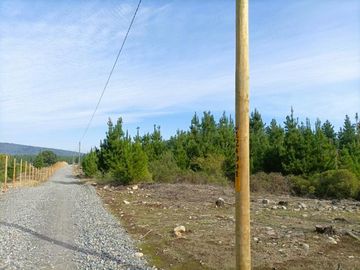 La Puntilla/La puntilla - Parcela - Venta