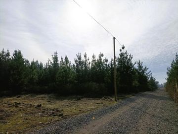 La Puntilla/La puntilla - Parcela - Venta