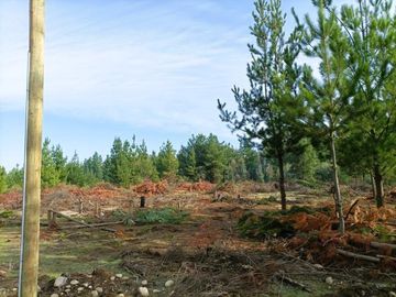 La Puntilla/La Puntilla - Parcela - Venta