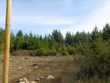 La Puntilla/La Puntilla - Parcela - Venta