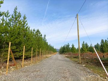 La Puntilla/La Puntilla - Parcela - Venta