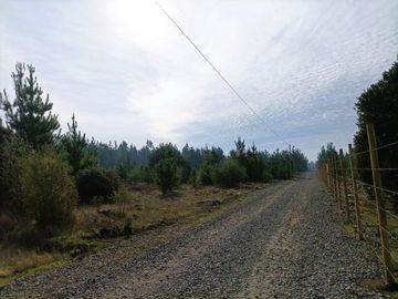 La Puntilla/La Puntilla - Parcela - Venta