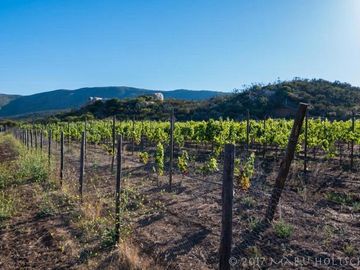 CASA con VIÑEDO en Valle de Guadalupe Quinta Estrella: Exclusividad, Sustentabil