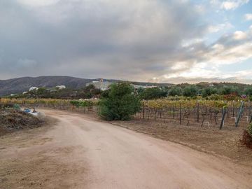 CASA con VIÑEDO en Valle de Guadalupe Quinta Estrella: Exclusividad, Sustentabil