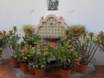¡ATENCION! CASONA EN VENTA EN EL CENTRO DE AGUASCALIENTES