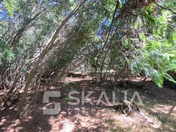 Parcela en Venta en Sector Lucay, comuna de Yumbre