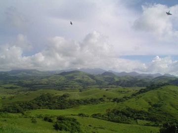 Rancho en VENTA 7 hectareas en SALINAS ROCA PARTIDA, Veracruz