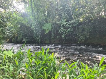 Rancho en VENTA 7 hectareas en SALINAS ROCA PARTIDA, Veracruz
