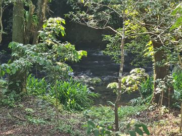 Rancho en VENTA 7 hectareas en SALINAS ROCA PARTIDA, Veracruz