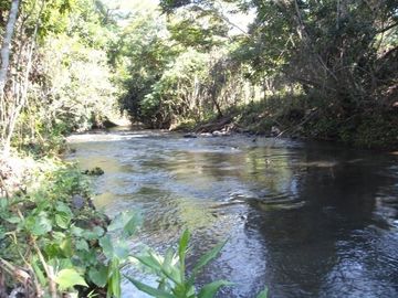 Rancho en VENTA 7 hectareas en SALINAS ROCA PARTIDA, Veracruz