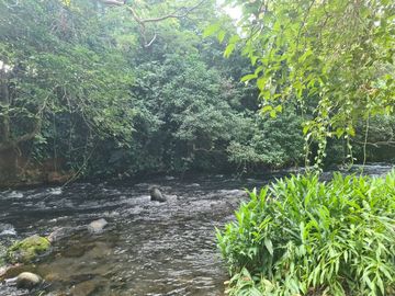 Rancho en VENTA 7 hectareas en SALINAS ROCA PARTIDA, Veracruz