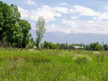 Terreno en  Venta Tunuyán