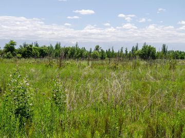 Terreno en  Venta Tunuyán