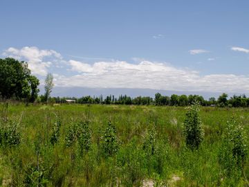 Terreno en  Venta Tunuyán