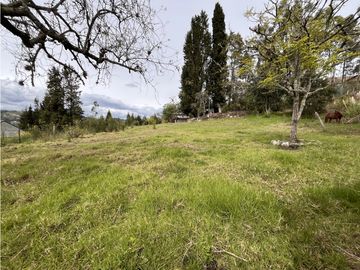 Venta de Terreno, Cuenca, Challuabamba, Apangoras 945m²