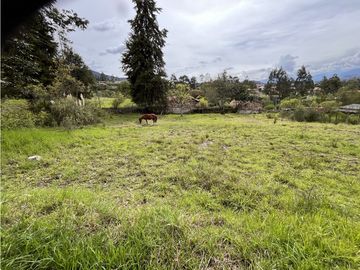 Venta de Terreno, Cuenca, Challuabamba, Apangoras 945m²