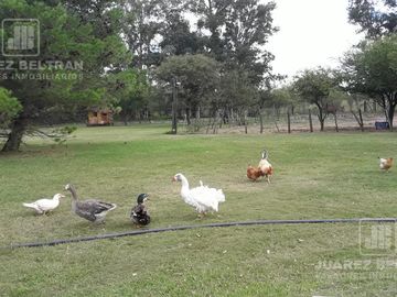 Venta - Casa de 4 dormitorios - Campos del Virrey - Camino a Alta Gracia