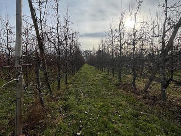 CHACRA EN VENTA (INGENIERO HUERGO)