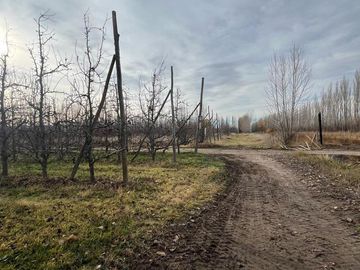 CHACRA EN VENTA (INGENIERO HUERGO)