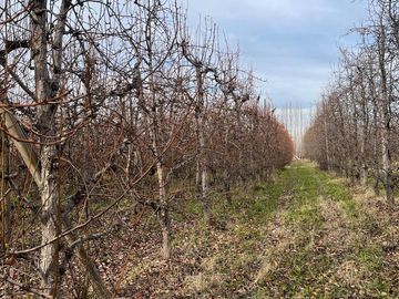 CHACRA EN VENTA (INGENIERO HUERGO)