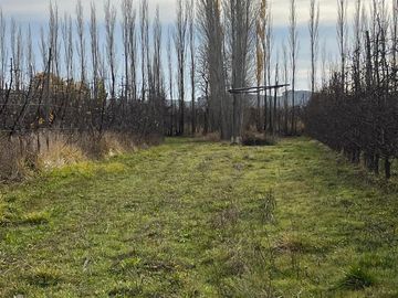 CHACRA EN VENTA (INGENIERO HUERGO)