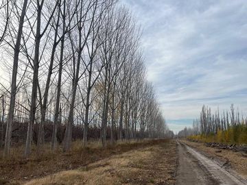 CHACRA EN VENTA (INGENIERO HUERGO)