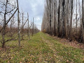 CHACRA EN VENTA (INGENIERO HUERGO)