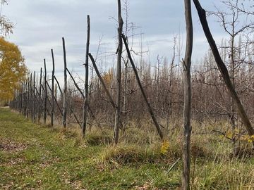 CHACRA EN VENTA (INGENIERO HUERGO)