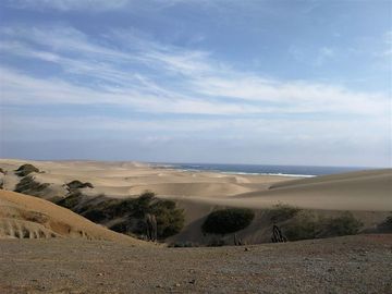 Sitio en Venta en quebrada maitencillo