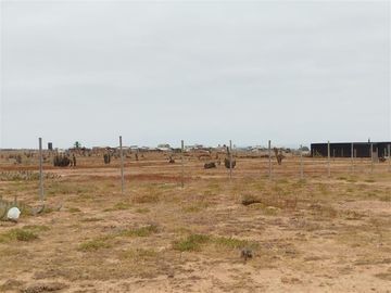 Sitio en Venta en quebrada maitencillo